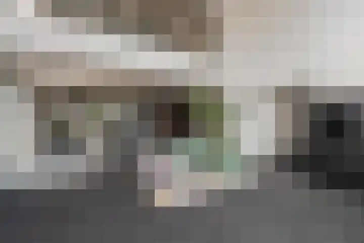 Spoorlaan 450 32 Tilburg thumbnail 38