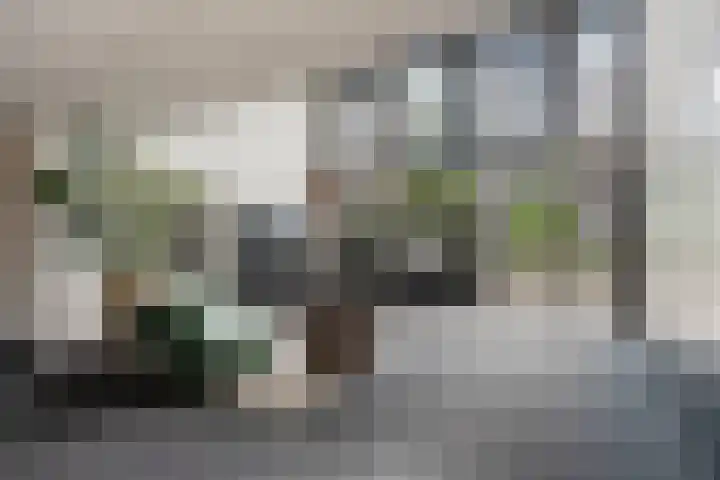 Spoorlaan 450 32 Tilburg thumbnail 40