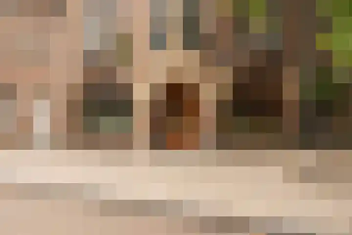 Spoorlaan 450 32 Tilburg thumbnail 46