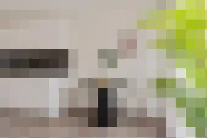 Spoorlaan 450 33 Tilburg thumbnail 12