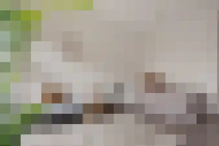 Spoorlaan 450 33 Tilburg thumbnail 14
