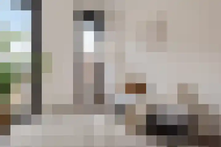 Spoorlaan 450 33 Tilburg thumbnail 16