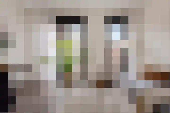 Spoorlaan 450 33 Tilburg thumbnail 19