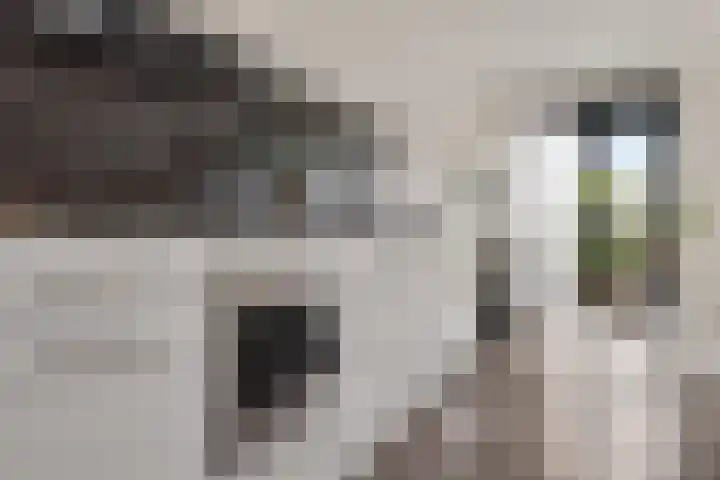 Spoorlaan 450 33 Tilburg thumbnail 22