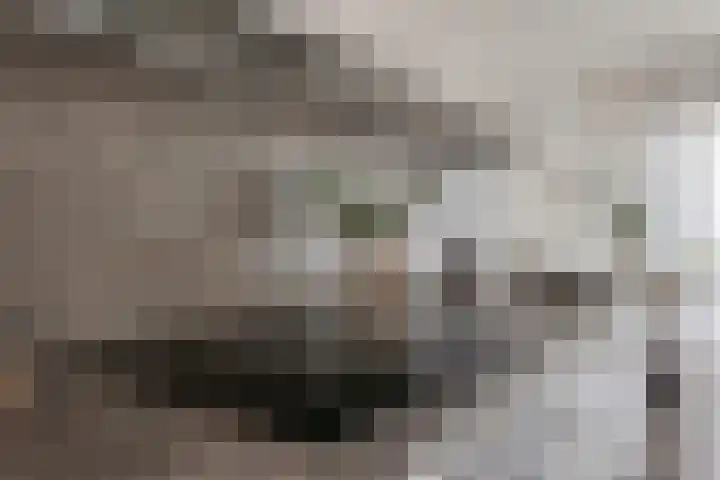 Spoorlaan 450 33 Tilburg thumbnail 23