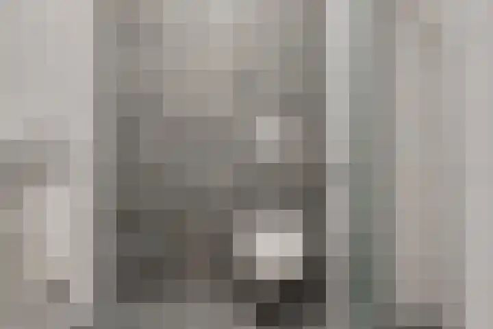 Spoorlaan 450 33 Tilburg thumbnail 25