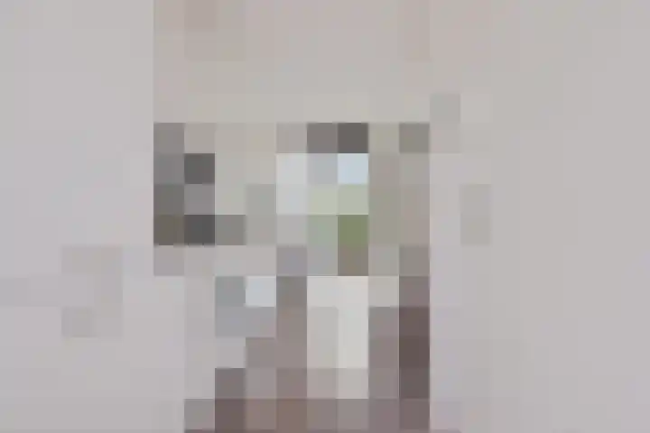 Spoorlaan 450 33 Tilburg thumbnail 8