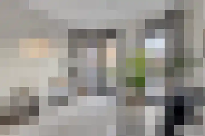 Spoorlaan 450 34 Tilburg thumbnail 11