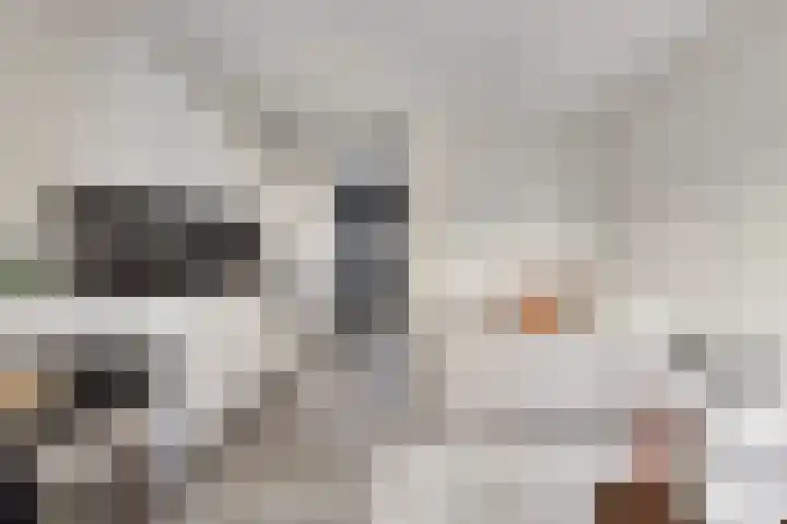 Spoorlaan 450 34 Tilburg thumbnail 14