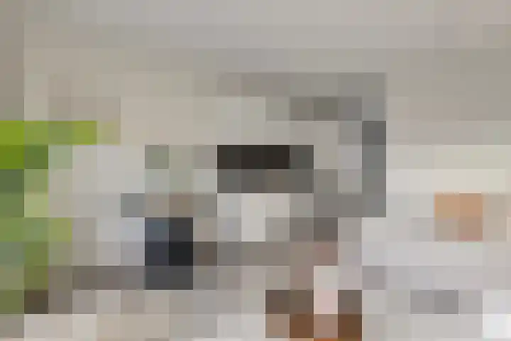 Spoorlaan 450 34 Tilburg thumbnail 15