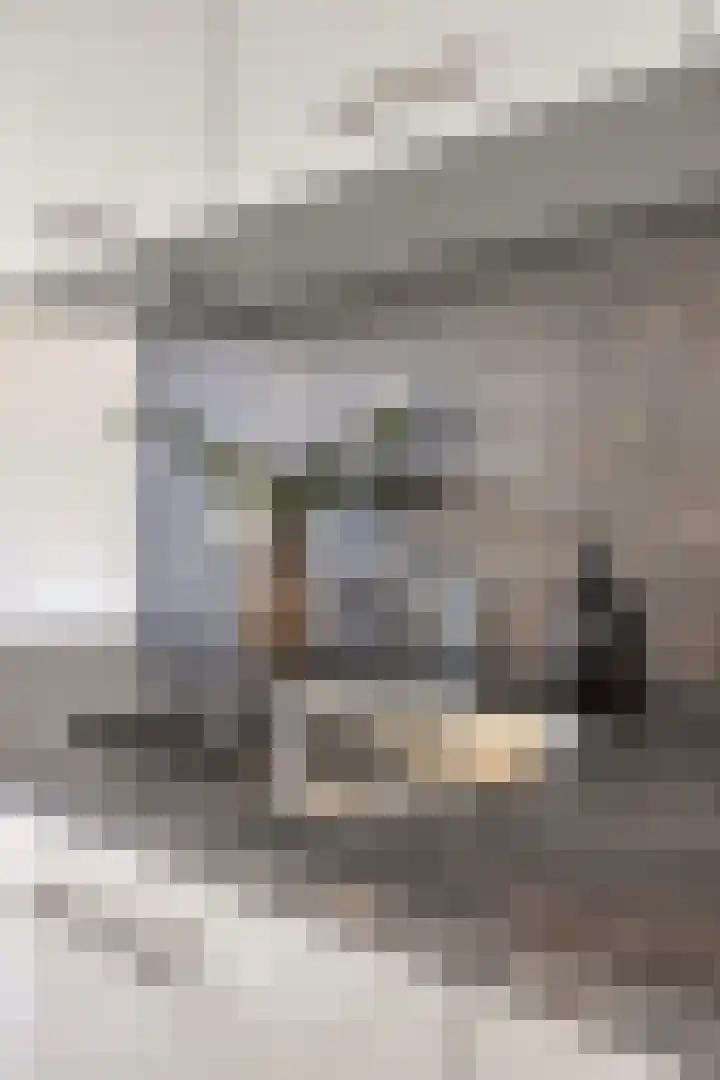 Spoorlaan 450 34 Tilburg thumbnail 21