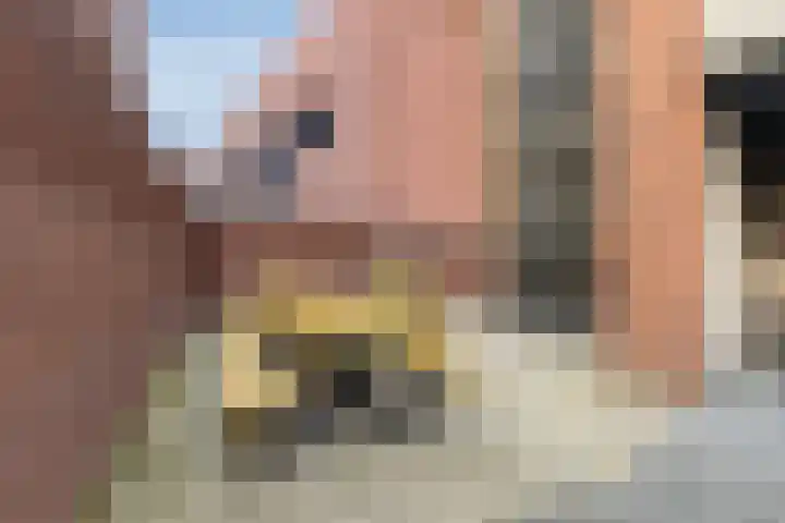 Spoorlaan 450 34 Tilburg thumbnail 31