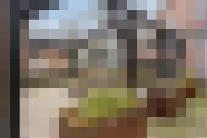 Spoorlaan 450 34 Tilburg thumbnail 32