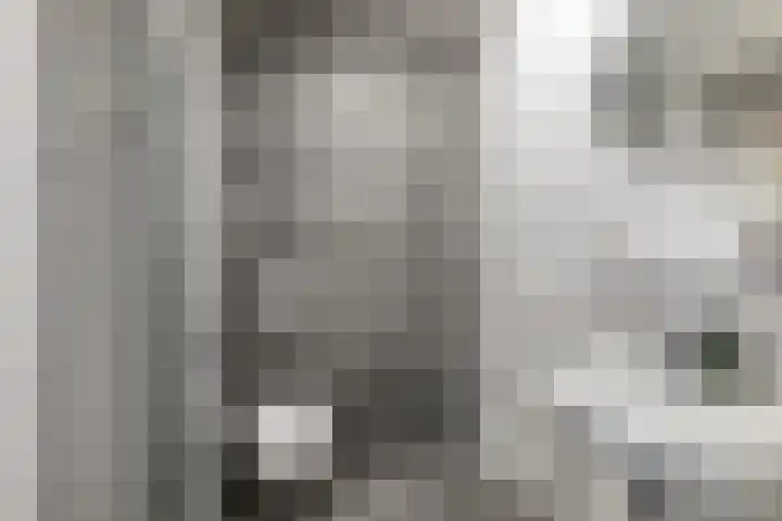 Spoorlaan 450 34 Tilburg thumbnail 5