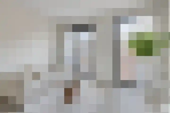 Spoorlaan 450 39 Tilburg thumbnail 11