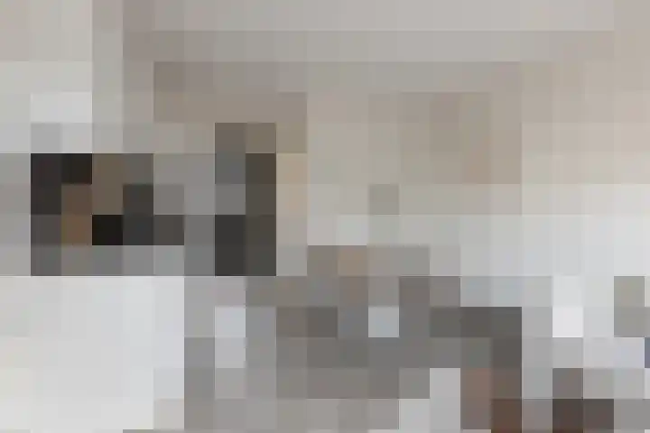 Spoorlaan 450 39 Tilburg thumbnail 12