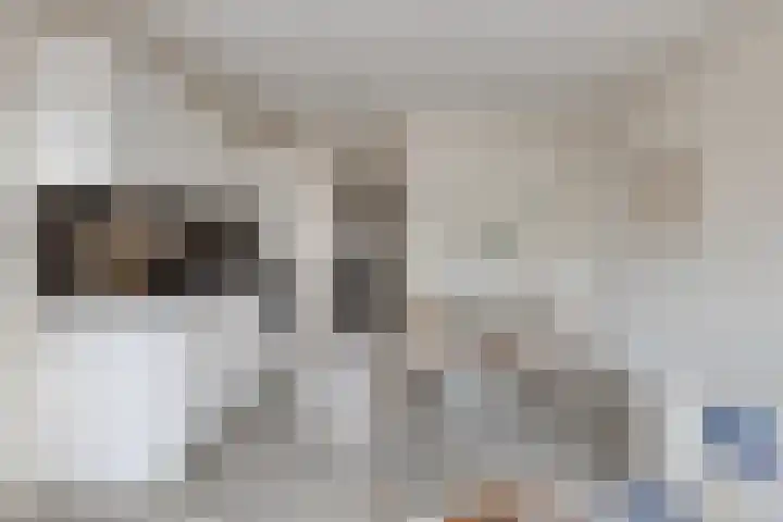 Spoorlaan 450 39 Tilburg thumbnail 13