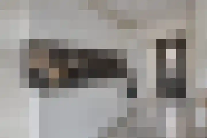 Spoorlaan 450 39 Tilburg thumbnail 18