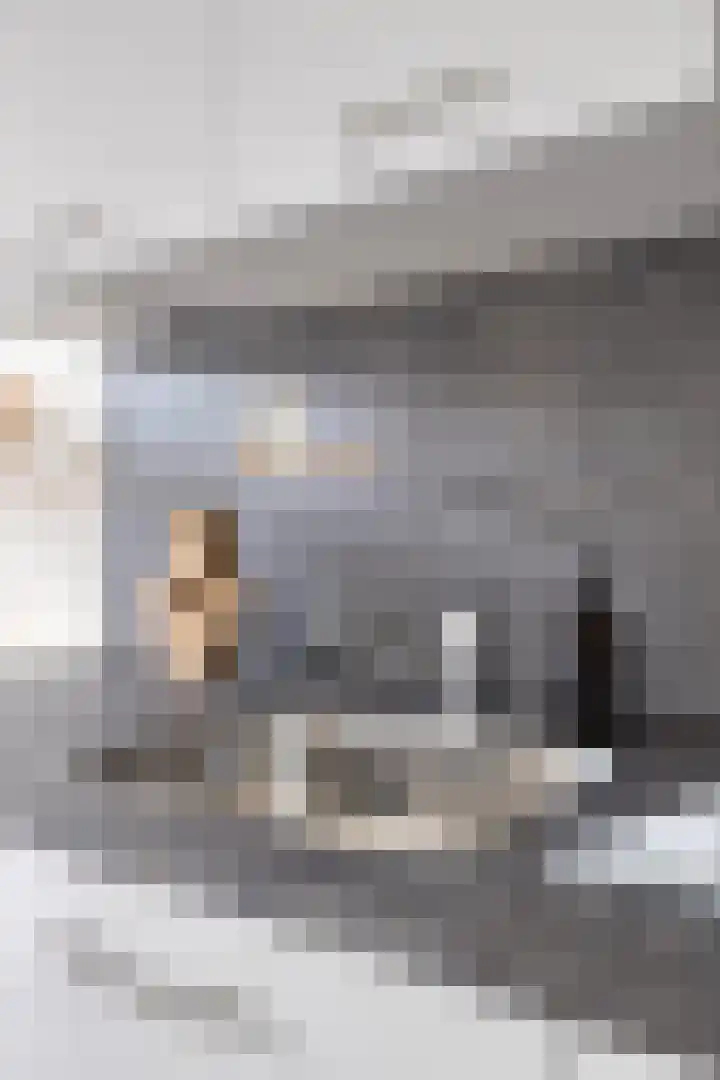 Spoorlaan 450 39 Tilburg thumbnail 19