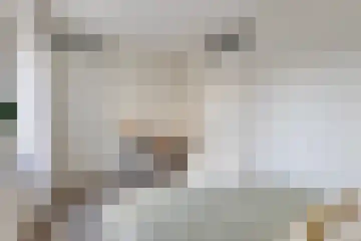Spoorlaan 450 39 Tilburg thumbnail 24