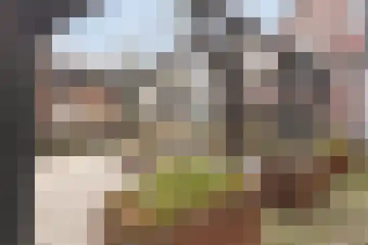 Spoorlaan 450 39 Tilburg thumbnail 34