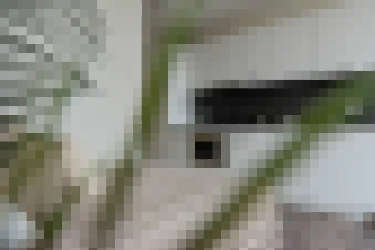 Spoorlaan 450 48 Tilburg thumbnail 14