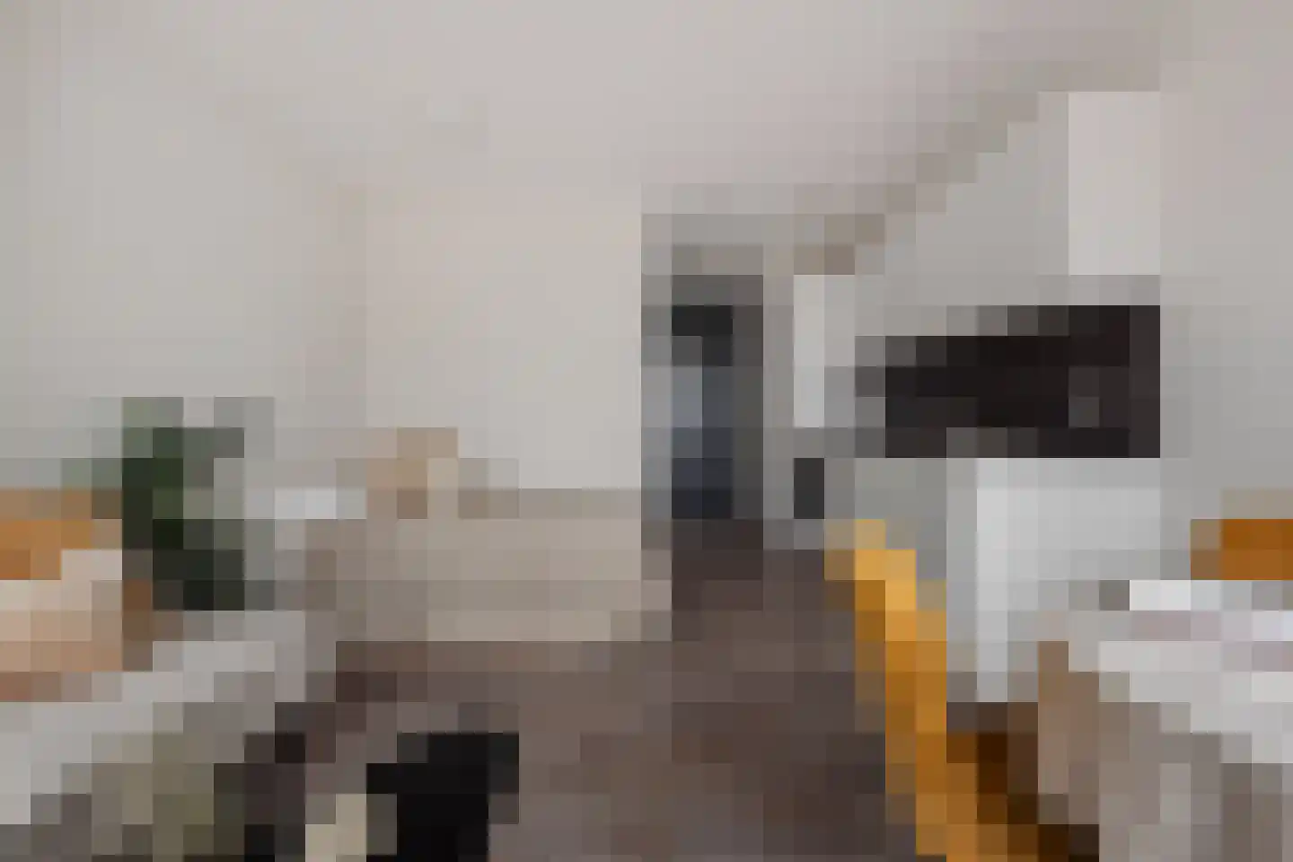 Spoorlaan 450 48 Tilburg thumbnail 26