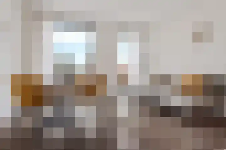 Spoorlaan 450 56 Tilburg thumbnail 19