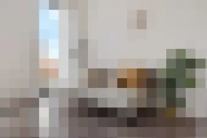 Spoorlaan 450 56 Tilburg thumbnail 20