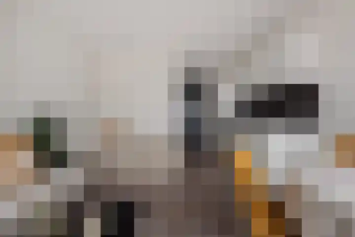 Spoorlaan 450 56 Tilburg thumbnail 26