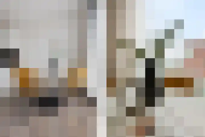 Spoorlaan 450 56 Tilburg thumbnail 27