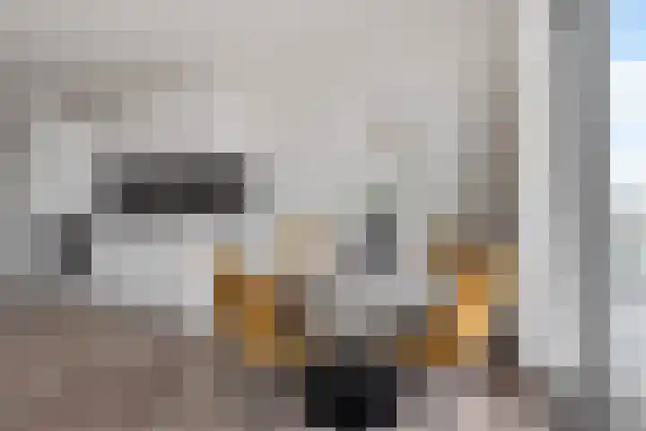 Spoorlaan 450 56 Tilburg thumbnail 28
