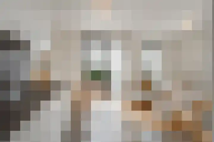 Spoorlaan 450 60 Tilburg thumbnail 10
