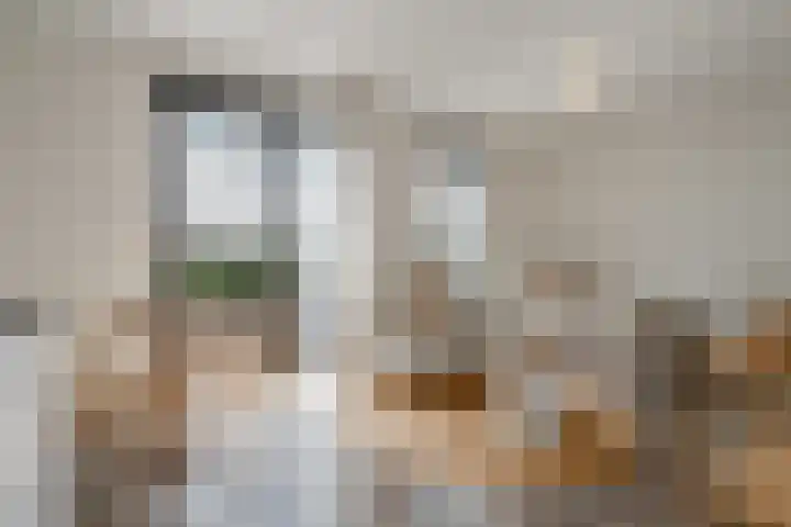 Spoorlaan 450 60 Tilburg thumbnail 11
