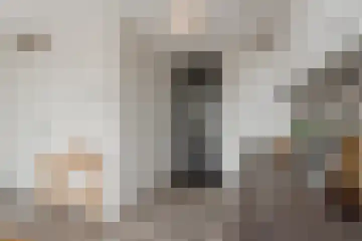 Spoorlaan 450 60 Tilburg thumbnail 20