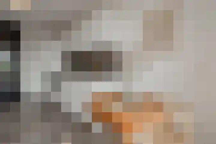 Spoorlaan 450 60 Tilburg thumbnail 25