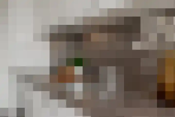 Spoorlaan 450 60 Tilburg thumbnail 27