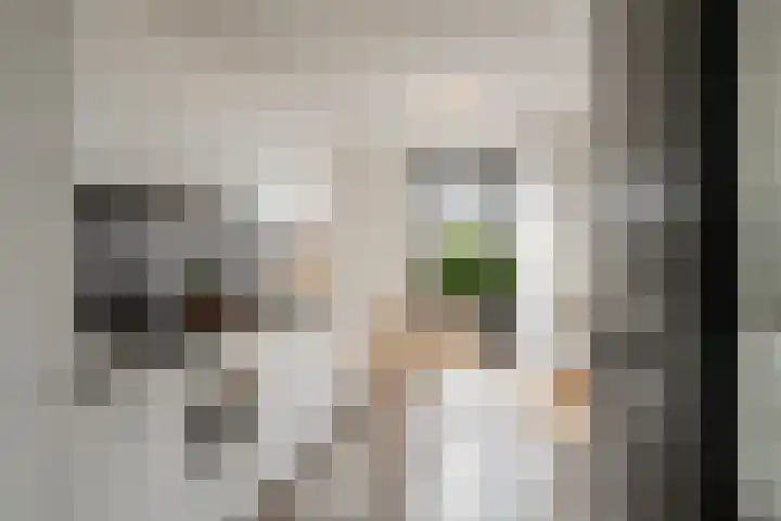 Spoorlaan 450 60 Tilburg thumbnail 8