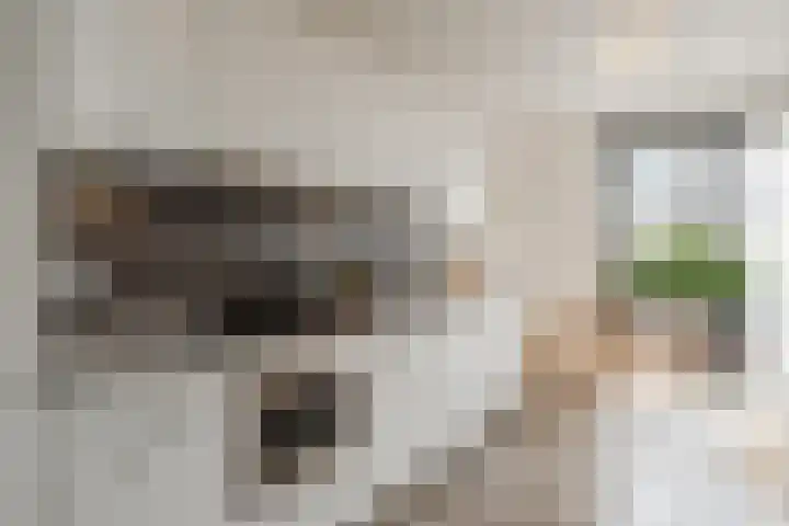 Spoorlaan 450 60 Tilburg thumbnail 9