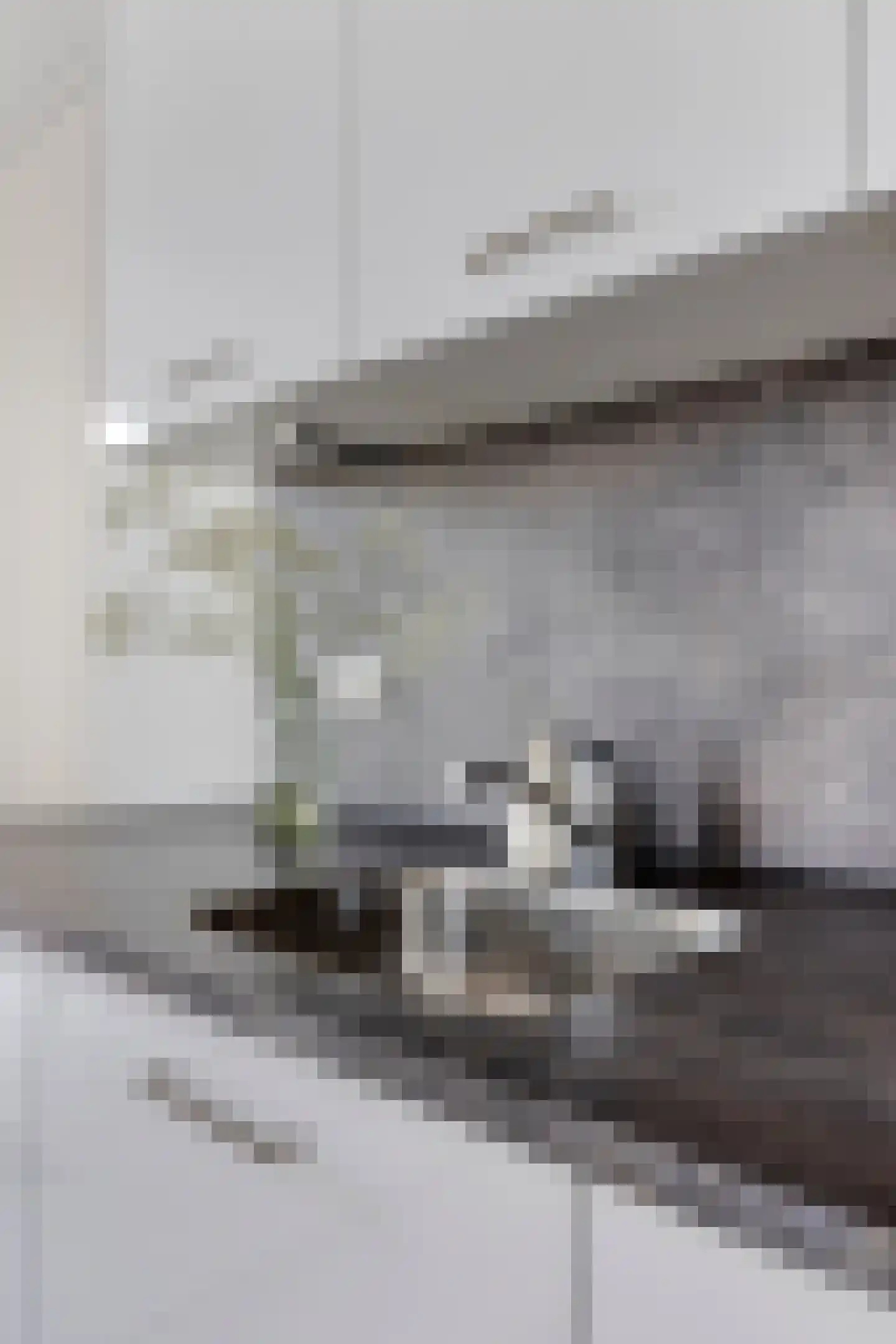 Spoorlaan 450 62 Tilburg thumbnail 19