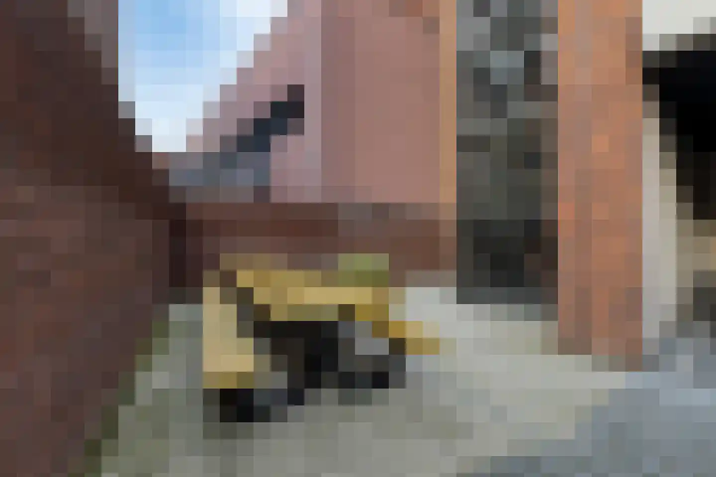 Spoorlaan 450 62 Tilburg thumbnail 30