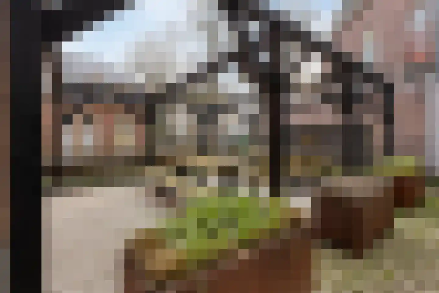 Spoorlaan 450 62 Tilburg thumbnail 31