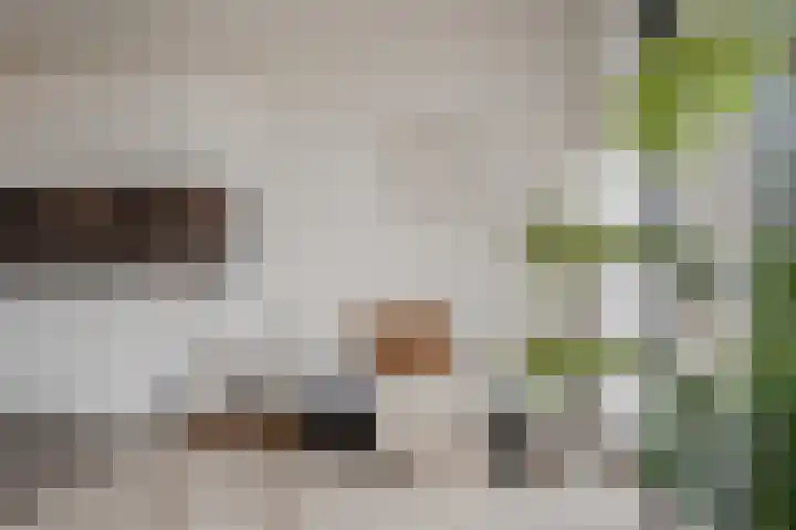 Spoorlaan 450 67 Tilburg thumbnail 13
