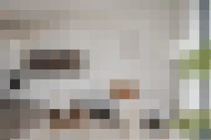 Spoorlaan 450 67 Tilburg thumbnail 14