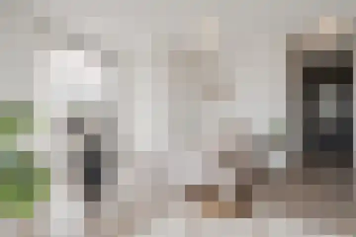 Spoorlaan 450 67 Tilburg thumbnail 16