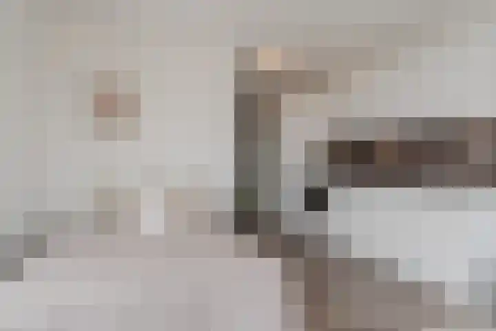 Spoorlaan 450 67 Tilburg thumbnail 22