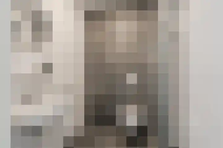 Spoorlaan 450 67 Tilburg thumbnail 28
