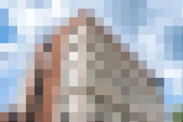 Spoorlaan 450 67 Tilburg thumbnail 32