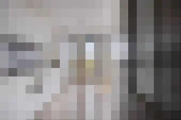 Spoorlaan 450 70 Tilburg thumbnail 14