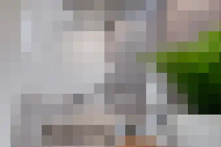 Spoorlaan 450 70 Tilburg thumbnail 17